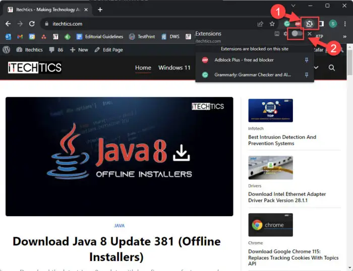 Disable, Manage Google Chrome Extensions On Specific Sites 6 禁用所有扩展为特定网站