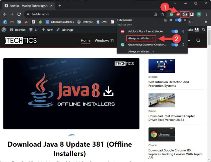 Disable, Manage Google Chrome Extensions On Specific Sites 7 指定网站禁用扩展
